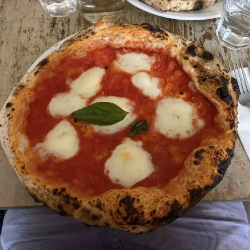 Bufala at Antica Pizza